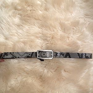 Express Snakeskin Belt. NWOT.